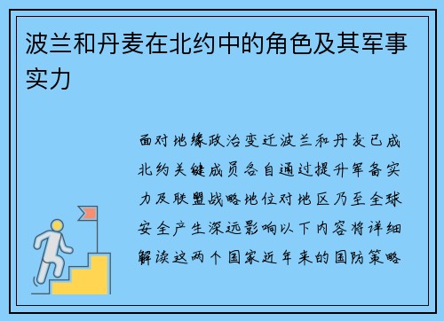 波兰和丹麦在北约中的角色及其军事实力